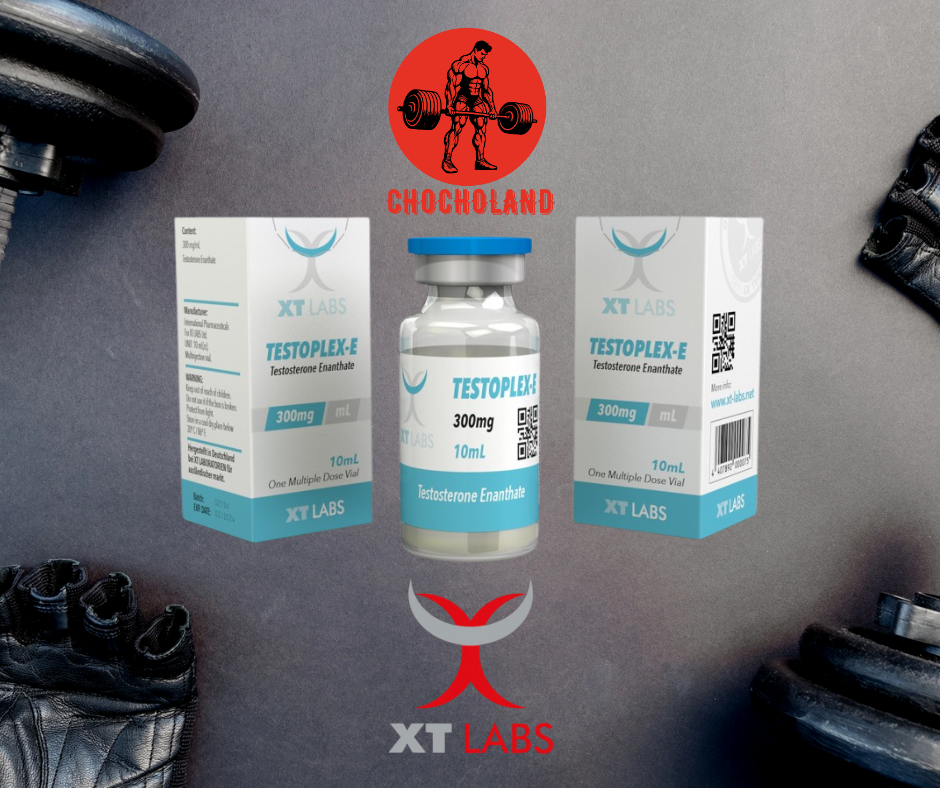 Testoplex-E XT LABS