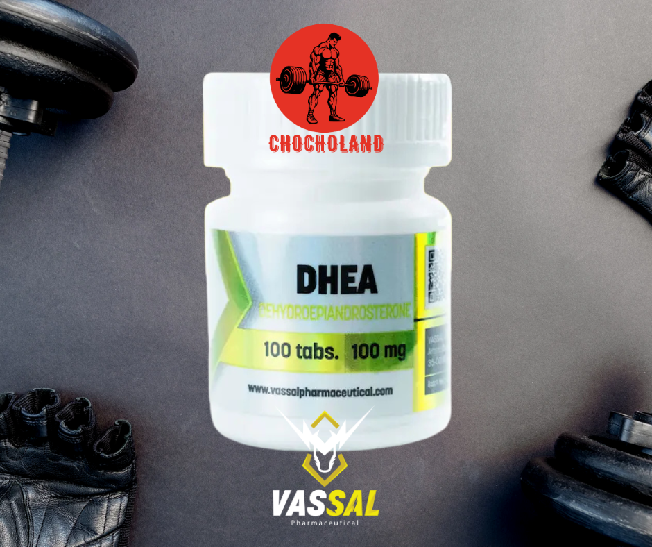 DHEA (Dehydroepiandrosterone) 100mg Vassal